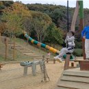 별새꽃유치원 이미지