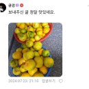 (추천 ! 🍊) 냉장 보관하시고 맛있는 하우스귤 저렴하게 구매하셔서 실컷드세요!^^(후기첨부!) 이미지