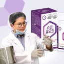 다인슈퍼 이미지