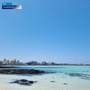 금능리마을회 | 제주 서쪽 가볼만한곳 금능해수욕장