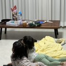 최가네삽교곱창 이미지