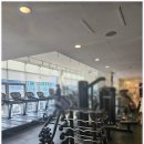 업프로짐 이미지