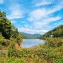 엘라고펜션 청도 안국지 청도펜션 🌳 이미지