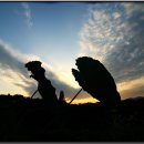 율동농장 이미지