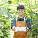 동호리농장 이미지