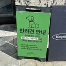 2055 | [남양주 카페] 반려동물동반 카페 키스톤스피시즈 / 피크닉카페