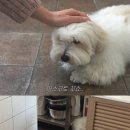 낭만을 잃지 않는다는 건