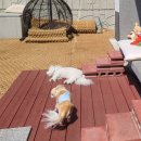 멍스테이션 이미지