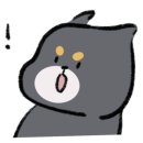 털로덮인친구들 수원매교점 이미지