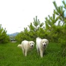 보광농원 이미지