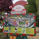 별자리 조형물(12 | 🎅 태백 근교 아이와 가볼 만한 곳, 사계절 즐기는 분천산타마을 여행 후기