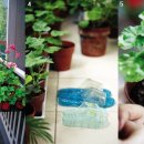 꽃향기정원 이미지