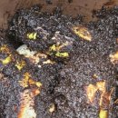 강무농장 이미지