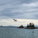 비응로 | 군산 새만금 비응항 현지인 해물짬뽕 해물 간짜장 맛집 &lt;비응반점&gt; 내돈내산 솔직 후기