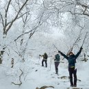 설국 이미지