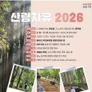 숲속