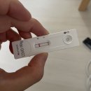 디위드동물병원 | 8월 4일~5일 ㅣ 부산 / 이백현돈까스 / 금정 디위드 / 블랙핑크 프라푸치노 / 페스코 삼시세끼