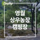 상우전기 | [키즈 캠핑] 3살 아이와 강원도 영월 상우농장캠핑장 사이트 추천