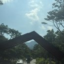 안토 리조트 캐빈 주니어 키즈룸 숙박, 루프탑 자쿠지, 델리 후기