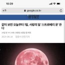 스트로베리문 이미지