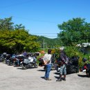 라오니아 이미지