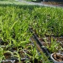 워낭농장 이미지