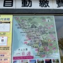 구산육거리 교통섬 | [가오슝/Day2] 보얼예술특구, 영국영사관, 하이즈빙, 치진섬 산책, 한식당 마무리