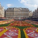 송정동-19 이미지