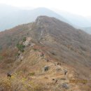 수정육