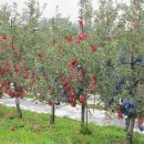 희망찬농장 이미지