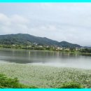 유진부동산중개사무소 이미지