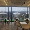 경기대형카 네이버블로그