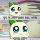 햅비