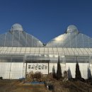 힐링팜 | 23개월 아기랑 포시즌힐링팜에서 2시간 체험한 후기🎄