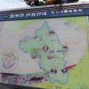 옥양수퍼 티스토리
