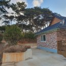 대마민박 이미지