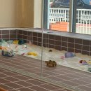 키즈 팰리스 | 부산 명지 감성 키즈카페 / 소에 후기