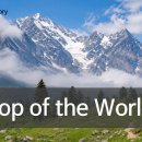 Top of the World l Carpenters l 숲에서 다시 만난 추억의 노래 이미지