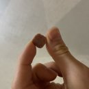 서울수유동물약국 이미지