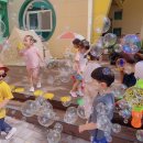 해럴드유치원 이미지