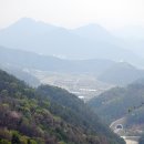 알곡종합운동장 Daum카페