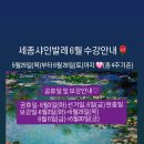 세종샤인발레학원 이미지