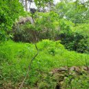 회성동267 이미지