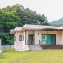 제이앤제이애견 이미지