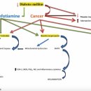 Re:Re:The Role of Thiamine in Cancer: Possible Genetic and Cellular Signaling Mechanisms 이미지