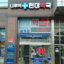 나루역사거리현대약국 네이버블로그