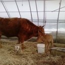 농민농장 이미지