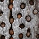 보배창고 이미지