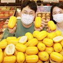 롯데마트 이미지