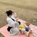부산 시민공원 피크닉 대여 다소다 피크닉